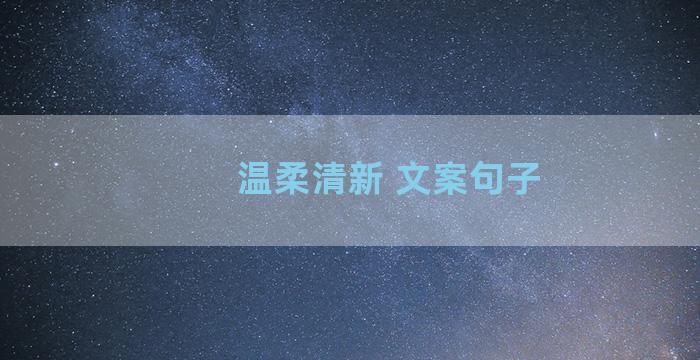 温柔清新 文案句子